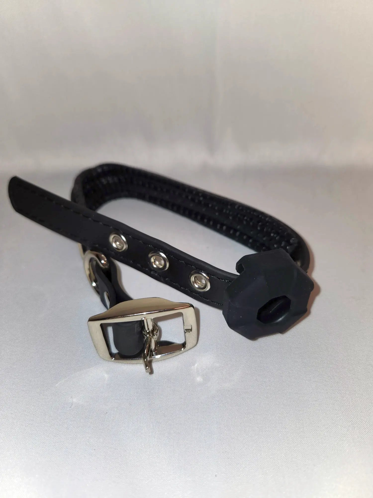 Heavy Duty Adjustable Waterproof Dog Collar