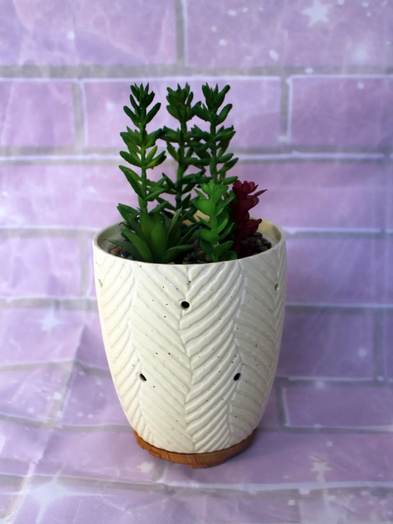 Joyvio Essential Oil Diffuser, Succelent Plant Design