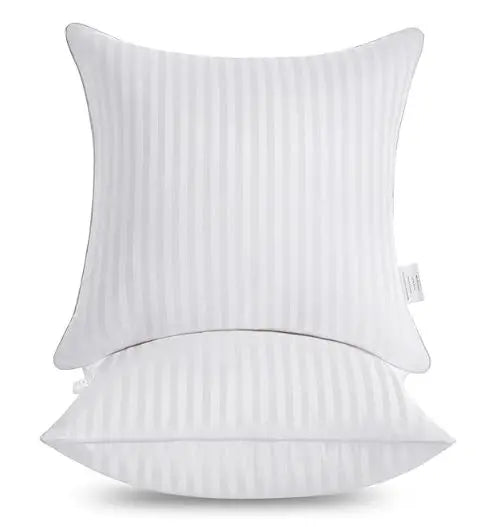 16”x16” Throw Pillow Inserts, 2-Pack